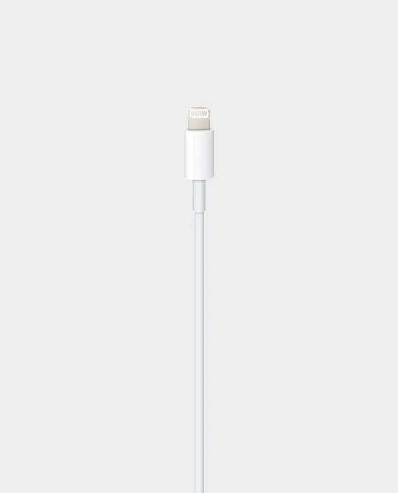 Apple USB-C to Lightning Cable 1m