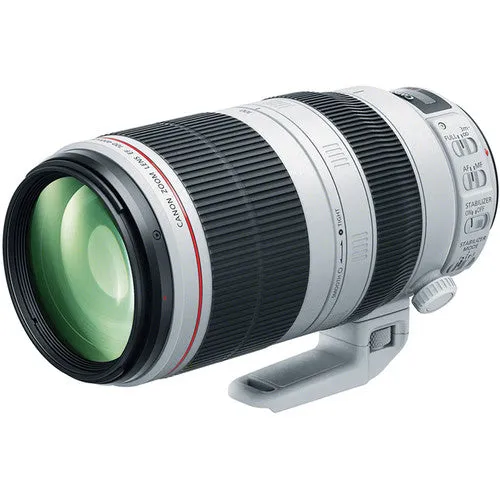 Canon EF 100-400mm f/4.5-5.6L II IS USM Lens