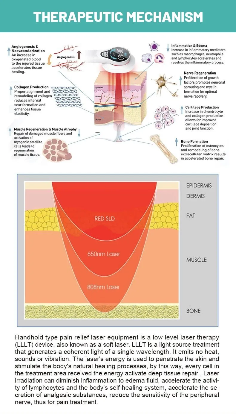 Cold Light Handheld Laser Therapy Device