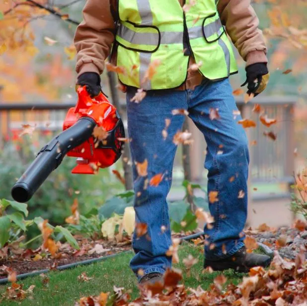 ECHO PB-2520 Handheld Blower