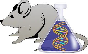 Mouse Factor IX Genetically Deficient Brain