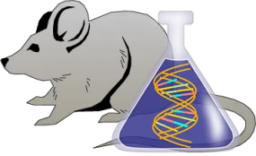 Mouse Factor IX Genetically Deficient Brain