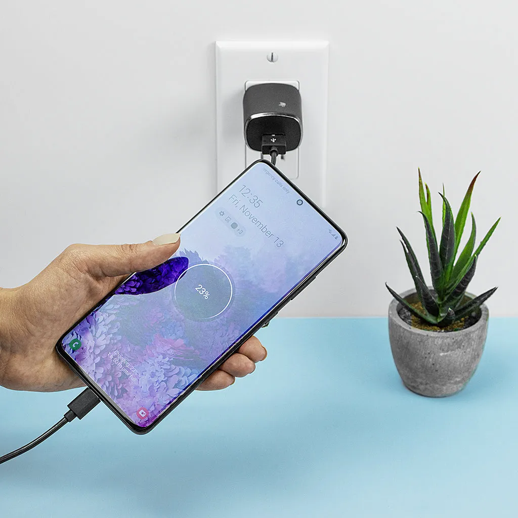 Single USB Wall Charger with 6ft USB-C Cable