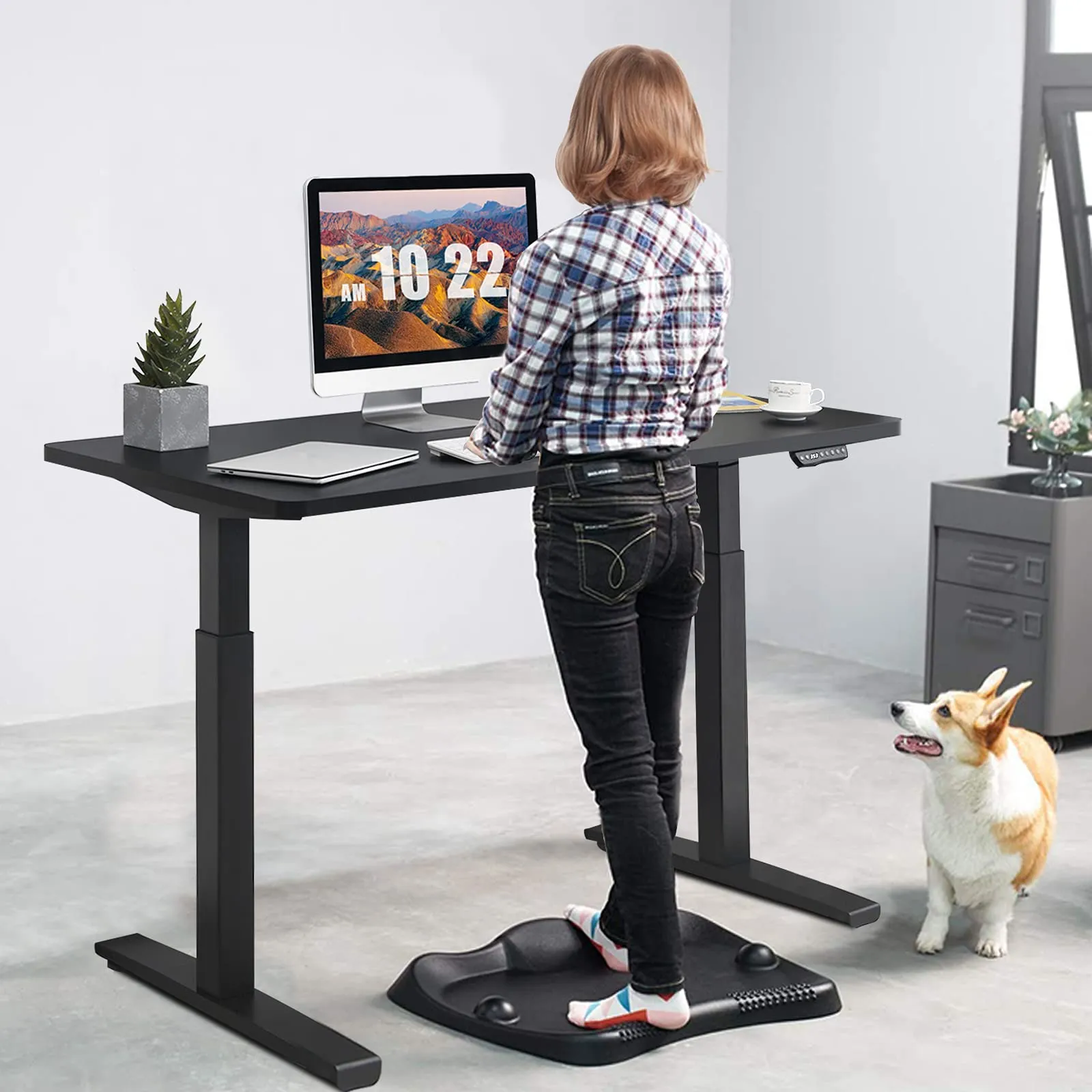 Tangkula 55 x 28 Inch Electric Standing Desk, Height Adjustable Sit to Stand Desk